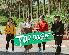 51动漫《TOP DOG》免费在线观看