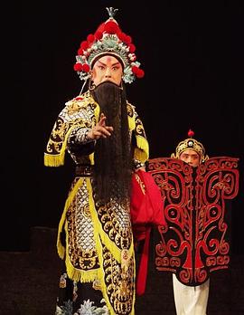 51吃瓜《袁崇焕2009》免费在线观看