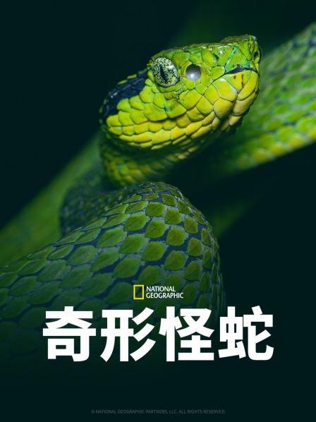 51吃瓜《奇形怪蛇》免费在线观看